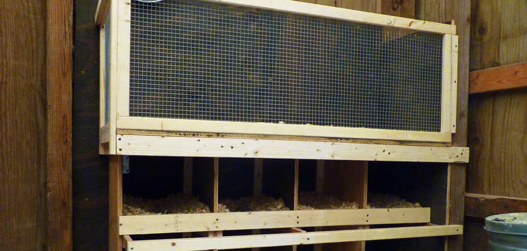 DIY Brooder Box Guide - DIY Guide - Our Backyard Farm