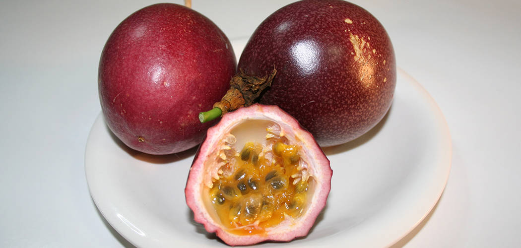 When are Passion Fruits Ripe? [2022 Guide] Growing Guide Our